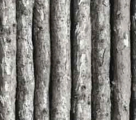 Wallpaper Rock  DV1310 ~item/2023/11/11/dv1310