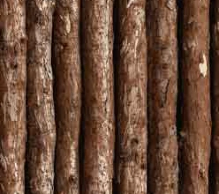 Wallpaper Rock  DV1312 ~item/2023/11/11/dv1312