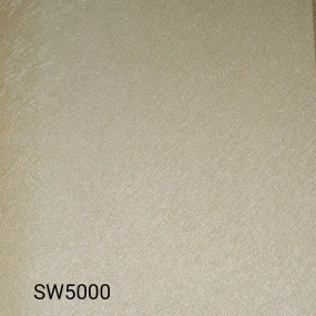  SW5000
