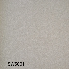  SW5001