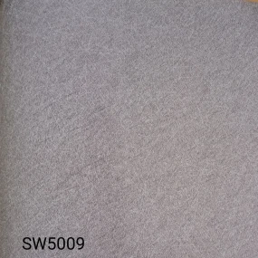  SW5009