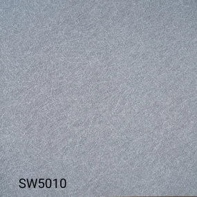  SW5010