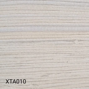  XTA010