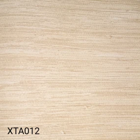  XTA012