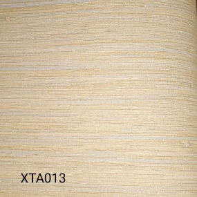  XTA013