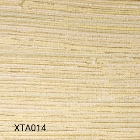 XTA014