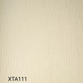  XTA111
