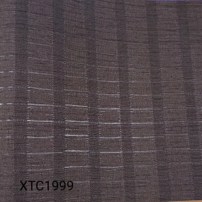  XTC1999