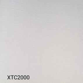 XTC2000