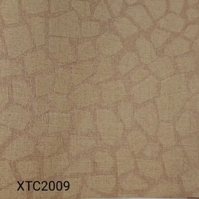  XTC2009