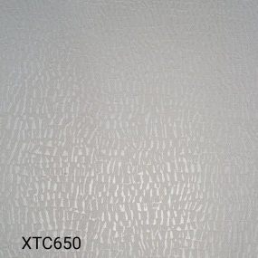  XTC650