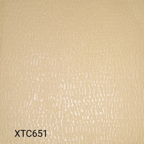  XTC651