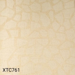  XTC761