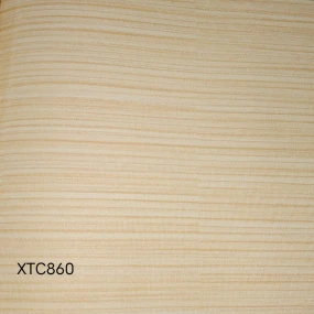  XTC860