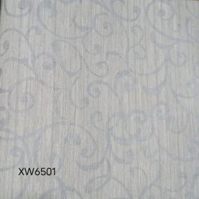  XW6501